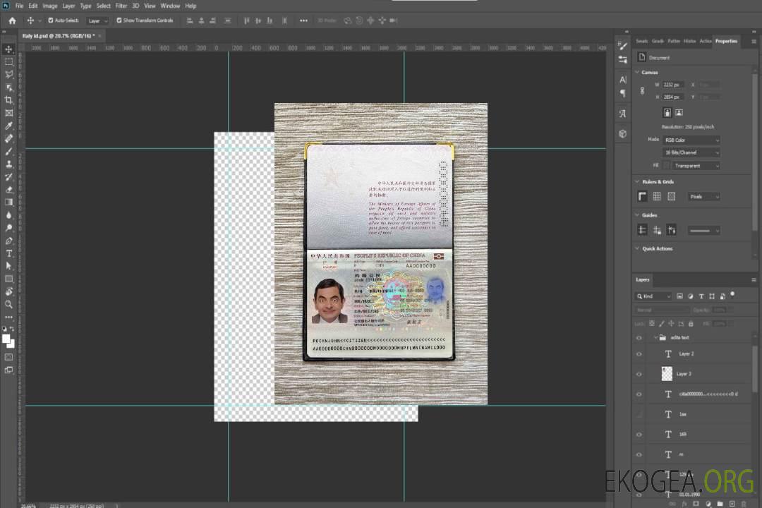 Aperçu de la photo du passeport chinois (2013-présent) template